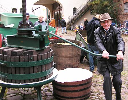Museumleiter Dr. Haas am Keltertag
